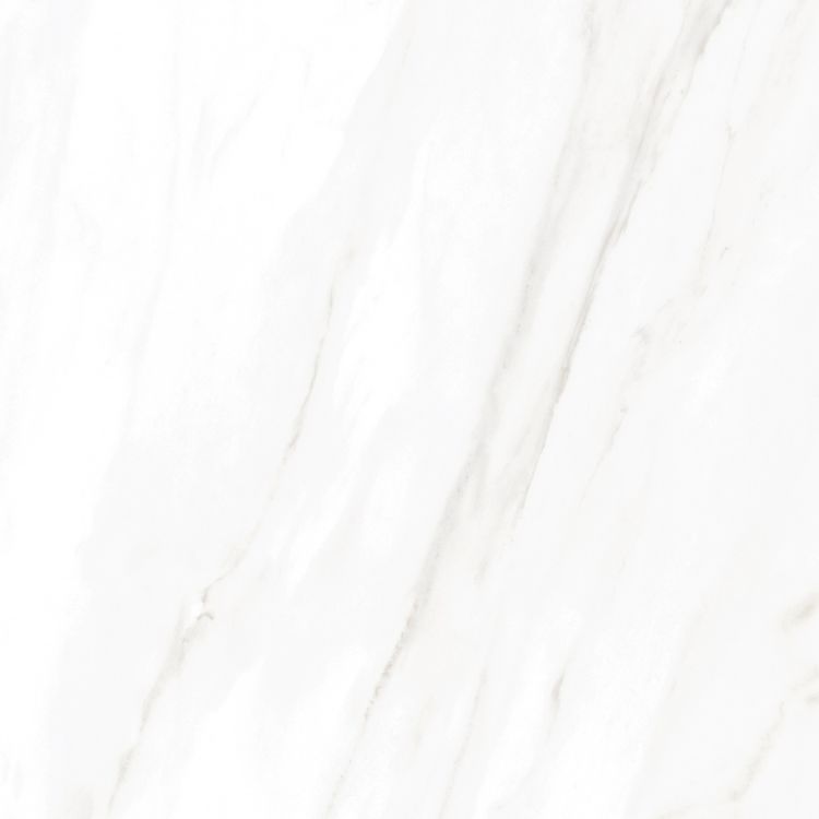 EC Calacatta Gold Matte 24 x 24